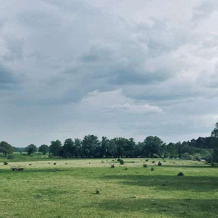 Ferienwohnungen Stolzenhagener 7 Lunow-Stolzenhagen Exteriér fotografie