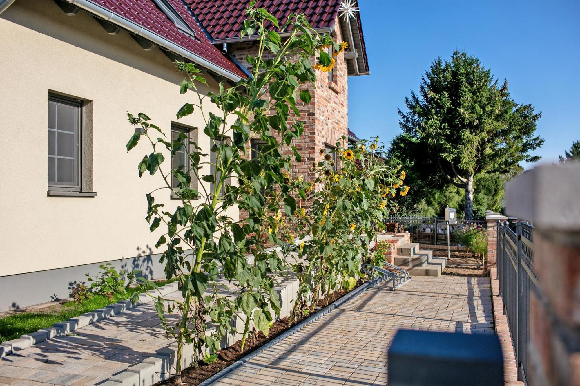 Ferienwohnungen Stolzenhagener 7 Lunow-Stolzenhagen Exteriér fotografie