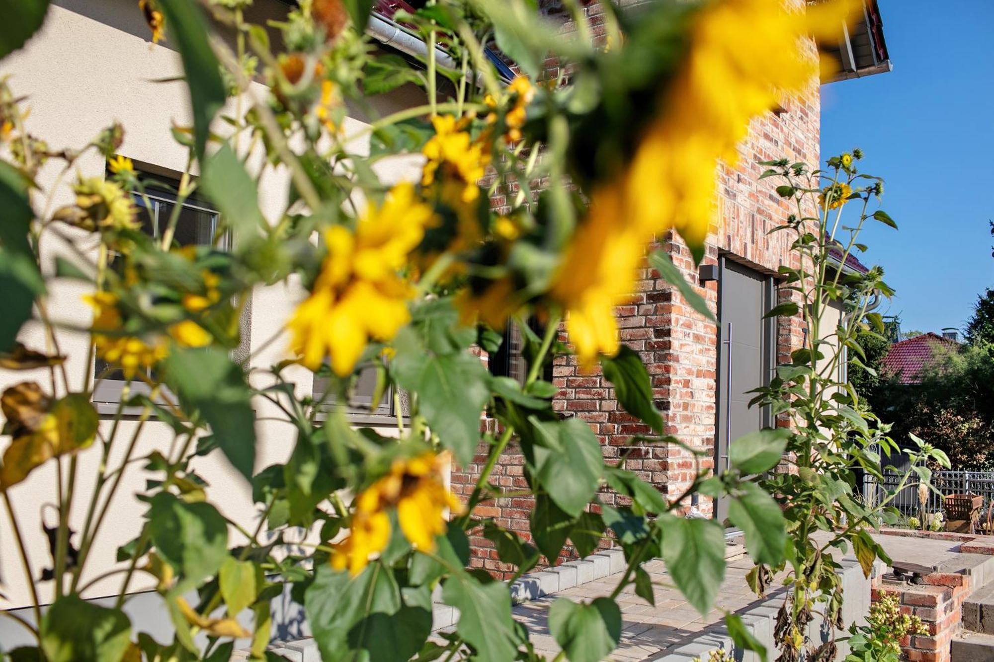 Ferienwohnungen Stolzenhagener 7 Lunow-Stolzenhagen Exteriér fotografie